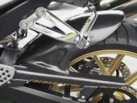 CARBON HUGGER - ZX10R